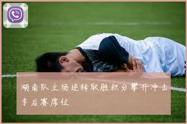 湖南队主场逆转取胜积分攀升冲击季后赛席位