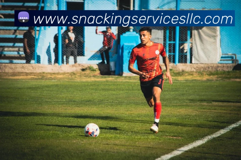 App Interface Preview